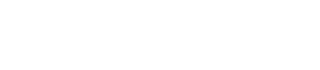 HOCOSLOT logo